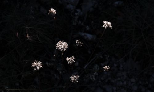 Des étoiles sous nos pas