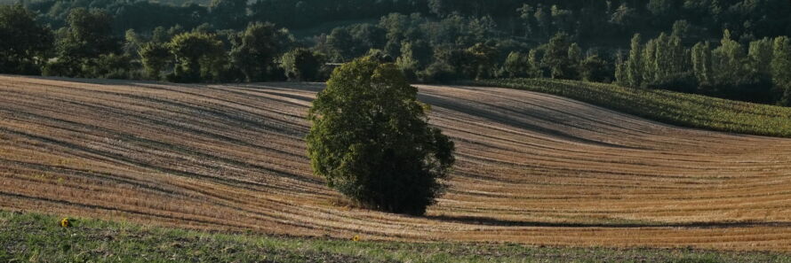 <strong>Le dormeur du val</strong>